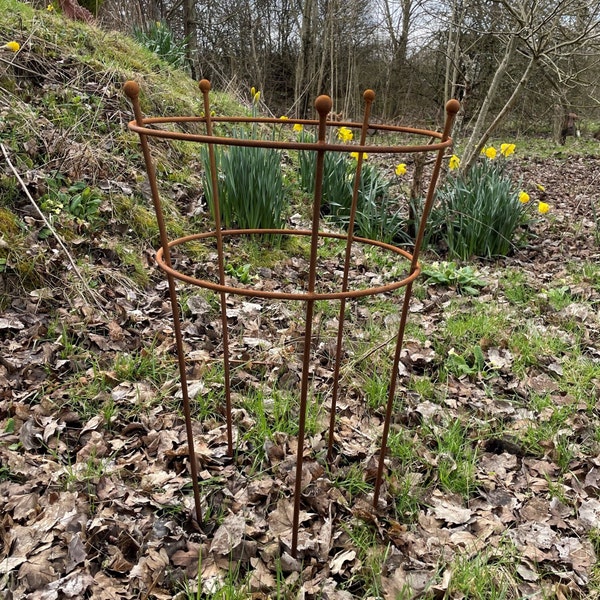 Peony or herbaceous support rusty metal plant stand 78cm H