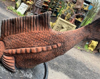 Large Carp Fish