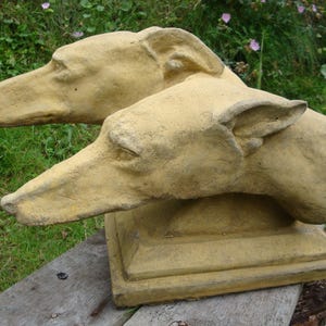 Hoofden windhond