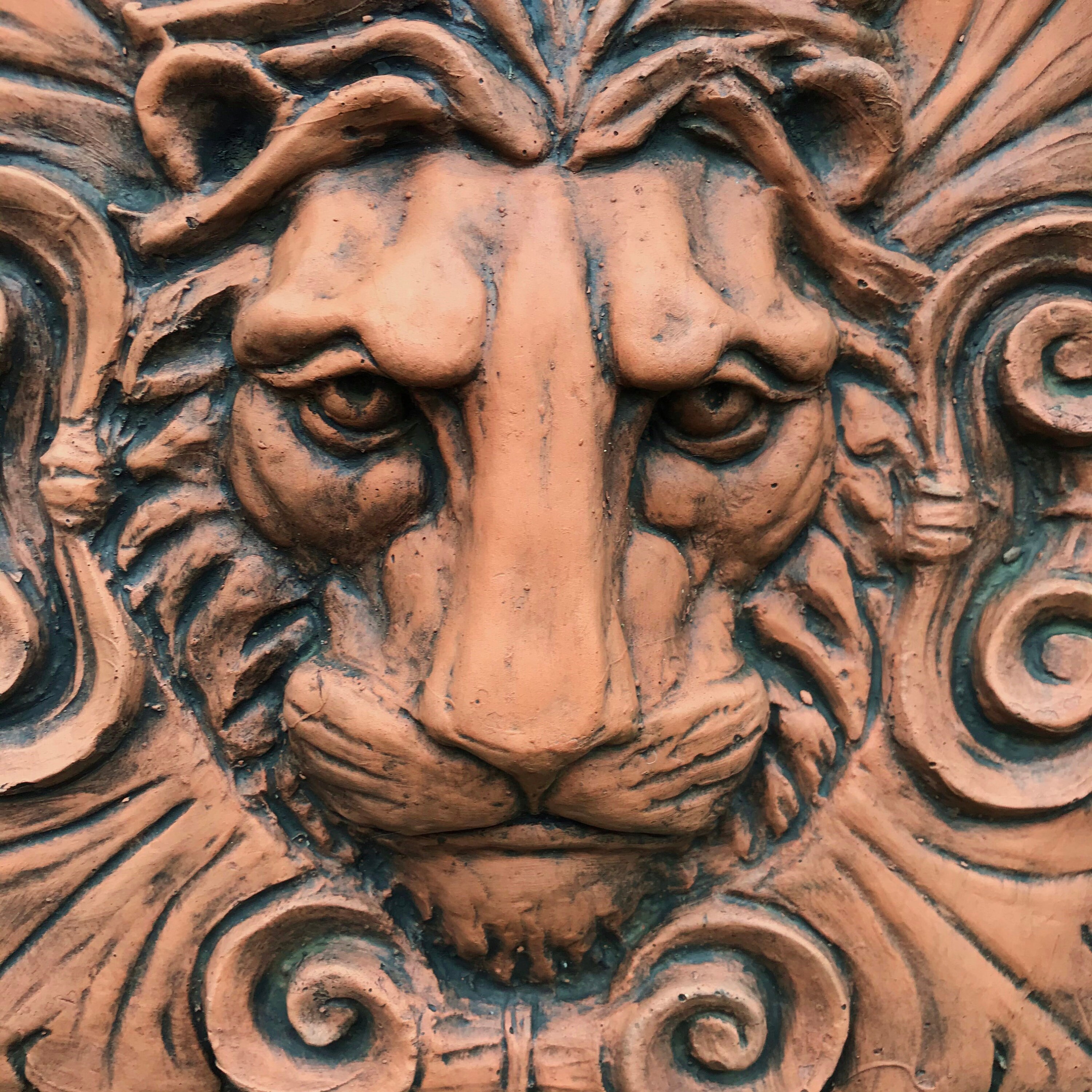 Roman lion classical wall plaque decorative stone garden Etsy