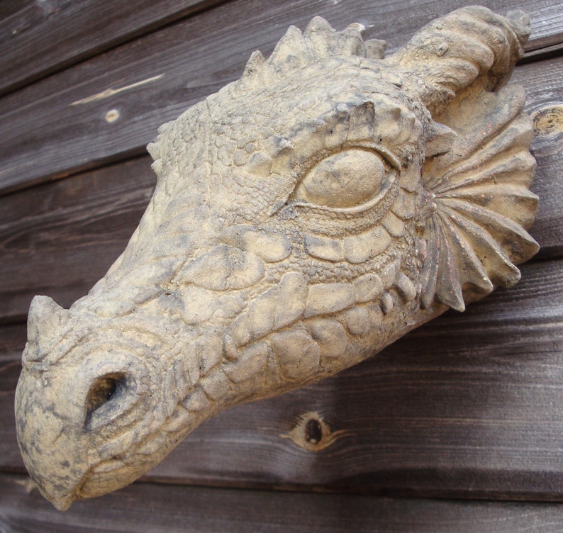 Placa de pared de piedra decorativa con cabeza de dragón Wyvern mítica imagen 2