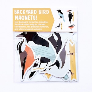 Backyard Birds Magnet Pack // Set of 4 // Magpie, Red-breasted nuthatch, White-breasted nuthatch, Pileated Woodpecker