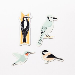 Birds of Alberta Magnet Pack // Set of 4 // Chickadee, Blue Jay, Downy Woodpecker, & Hummingbird image 2