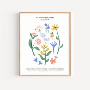 Impression de fleurs sauvages indigènes de l'Alberta // Impression physique 8 x 10 ou 11 x 14 x 14 cm sur papier d'art // Art botanique canadien pour le bureau, la chambre de bébé et la bibliothèque