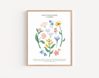 Native Wildflowers of Alberta Print // 8x10 or 11x14 Physical Print on Fine-art Paper // Canadian Botanical Art for Office, Nursery, Library