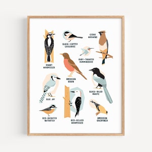 Oiseaux d'Amérique du Nord série 1 // Impression illustrée sur papier d'art // Geai bleu, mésange, pie et plus // 8 x 10, 11 x 14, 12 x 16
