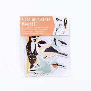 Birds of Alberta Magnet Pack // Set of 4 // Chickadee, Blue Jay, Downy Woodpecker, & Hummingbird image 1