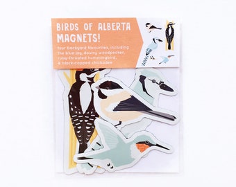 Birds of Alberta Magnet Pack // Set of 4 // Chickadee, Blue Jay, Downy Woodpecker, & Hummingbird