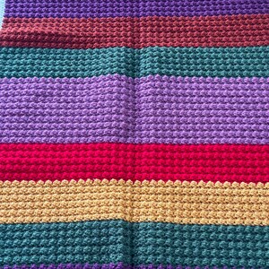 May include: A multi-colored crocheted blanket with stripes of purple, brown, green, red, yellow, and teal.