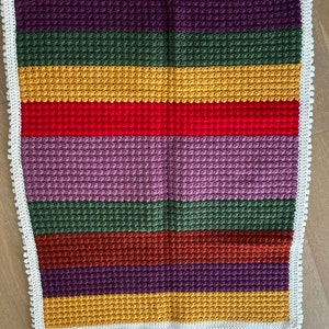 May include: A multi-colored crocheted blanket with a white crocheted border. The blanket has stripes of purple, green, yellow, red, light purple, dark green, brown, and purple.