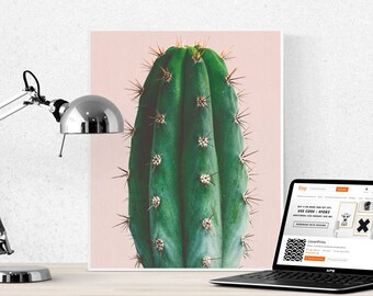 Impressie van de cactus, cactus foto, decoratie, Scandinavische kunst, moderne kunst, pastel kleuren, woestijnplanten, tropische plant