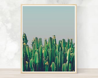 Cactus wall art, cactus photo print, succulent plants, abstract art, modern art, printable art, home decoration, wall art, tropical wall art