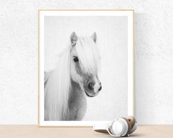 Poney Print, Baby shower gift, Printable Wall Art, baby horse print, Nursery Decor, Black and White Photography, kids room, art prints