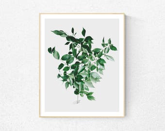 Plant photography, leaf print, tropical print, botanical print, downloadable art print, plant poster, home decor, botanical wall art