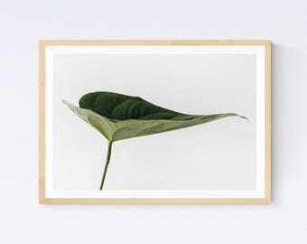 Tropical decor, tropical wall art, digital download, wall art print, leaf print, green print, green art, botanical print, beautiful print