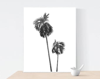 Palm Tree Print, Palm Tree Photo, Tropical Wall Art, California Print, Palm Tree Wall Art,Printable, Black and White Photography