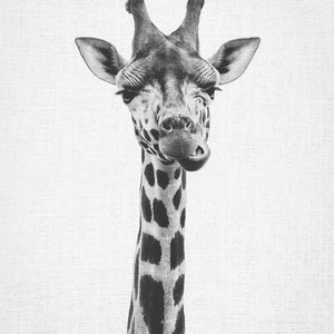 Giraffe Print, Printable Art, Nursery Print, Black and White Nursery Decor, Nursery Animal Wall Art, Kids Printable Art, Safari Animal Print image 2