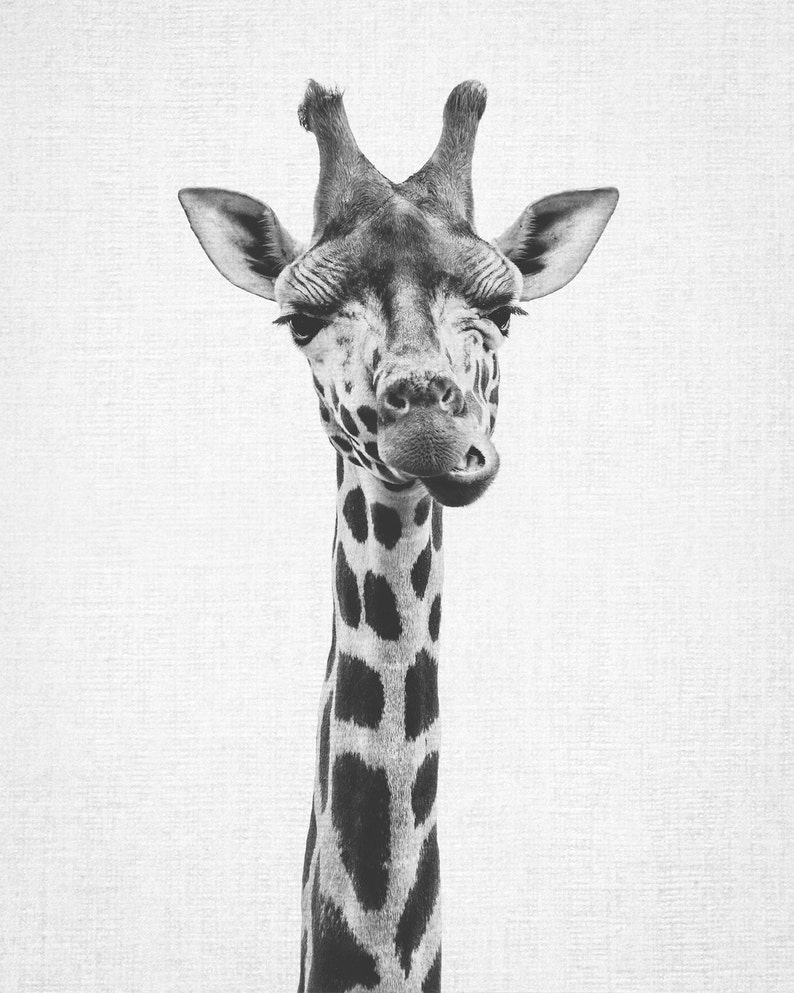 Giraffe Print, Printable Art, Nursery Print, Black and White Nursery Decor, Nursery Animal Wall Art, Kids Printable Art, Safari Animal Print image 2