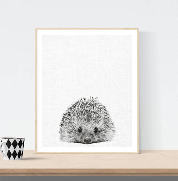 Impression De Herisson Noir Et Blanc En Telechargement Etsy