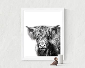 Highland cow print, printable highland bow, Nursery Wall Art, Printable Art, Black and White Animal Prints, highland cow photography