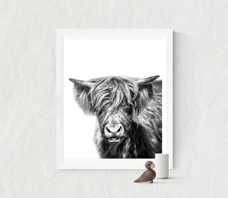 CCWACPP Toile murale pour salle de bain - Vache des Highlands noire et blanche se baignant dans la baignoire - Peinture amusante avec cadre décoratif (vache Highland - 1, 20,3 x 25,4 cm