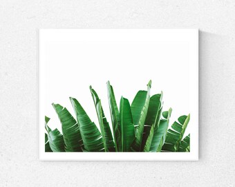 Palm print, tropical print, tropical leaf, palm leaf, nature print, botanical print, tropical wall art, botanical wall art, green print