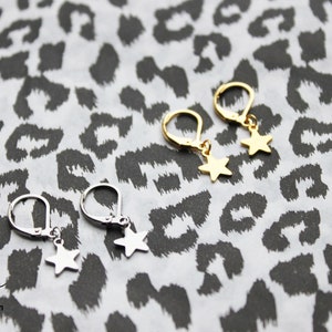 Stainless steel earring hook with star, star earrings set, RVS, stainless steel, star earings