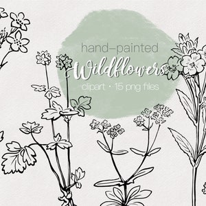 Botanical Clipart Hand Drawn Floral - Hand Drawn Botanical Elements - Wildflower Drawing Clipart - Floral Line Art Illustrations