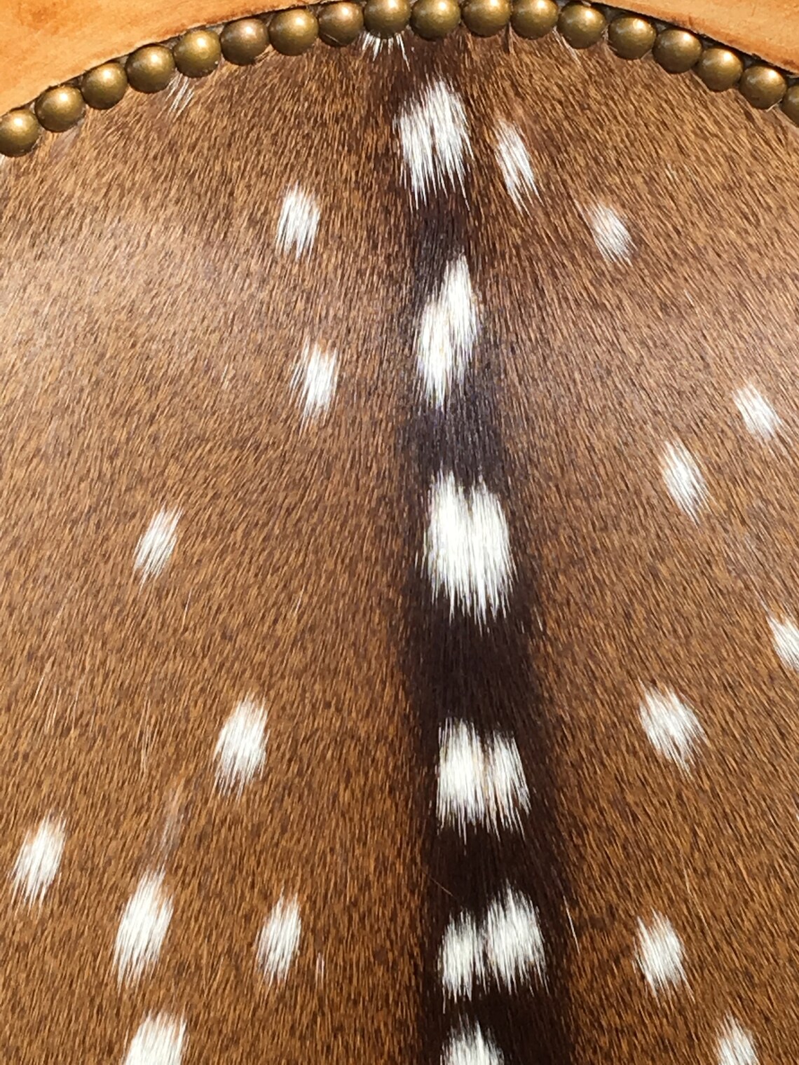 4 Axis Deer Hide and Leather Chairs Accent Chair Office Etsy