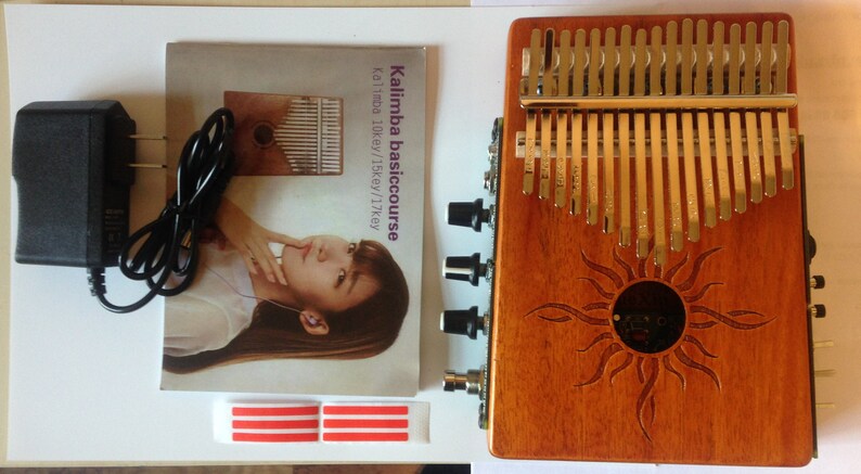 Circuit Bent Delay Electric Kalimba 10 or 17 note Thumb piano image 7