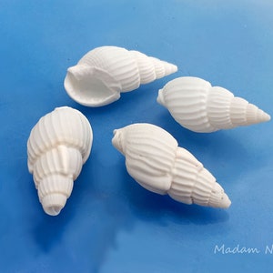 White Conch Drilled Seashells (50 pc), Drilled White Seashells, Snail Seashells with Drilled Hole, Spiral Seashell Charms, Seashell Pendants