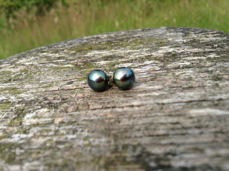 6.5mm freshwater pearl stud earrings on sterling silver