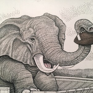 May include: A black and white illustration of an elephant holding a football in its trunk. The elephant is drawn in a stippled style, with small dots creating the image.
