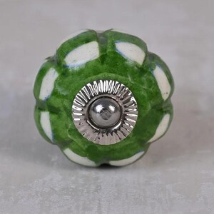 May include: A decorative cabinet knob with a green and white floral pattern. The knob has a silver-colored metal base and a rounded shape. The green sections are painted with a glossy finish, and the white sections are matte.