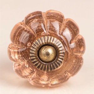 May include: A decorative cabinet knob with a flower-like design. The knob is a translucent amber color with a bronze-colored center and a brass-colored screw. The knob has a ridged texture and is likely made of glass or ceramic.
