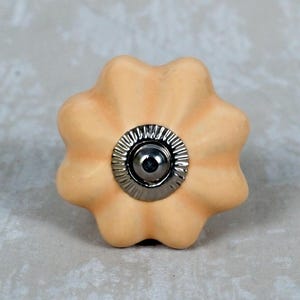 May include: A peach-colored ceramic cabinet knob with a flower-like design. The knob features a dark metal center and a scalloped edge. This decorative hardware is suitable for drawers and cabinets.