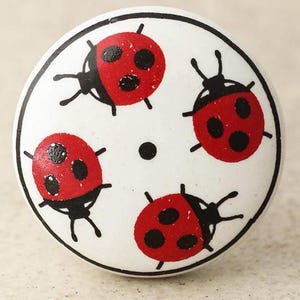 May include: White ceramic knob with four black and red ladybugs. The ladybugs have black spots and are arranged in a circular pattern.