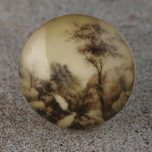 May include: A circular, cream-coloured decorative knob featuring a sepia-toned landscape design. The image shows a detailed depiction of trees and foliage, creating a vintage aesthetic. The knob is likely made of a smooth, glossy material.