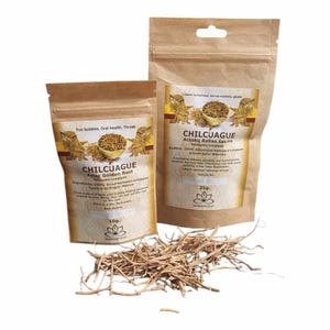 Chilcuague, Heliopsis Longipes, Azteekse gouden wortel, Raiz de Oro