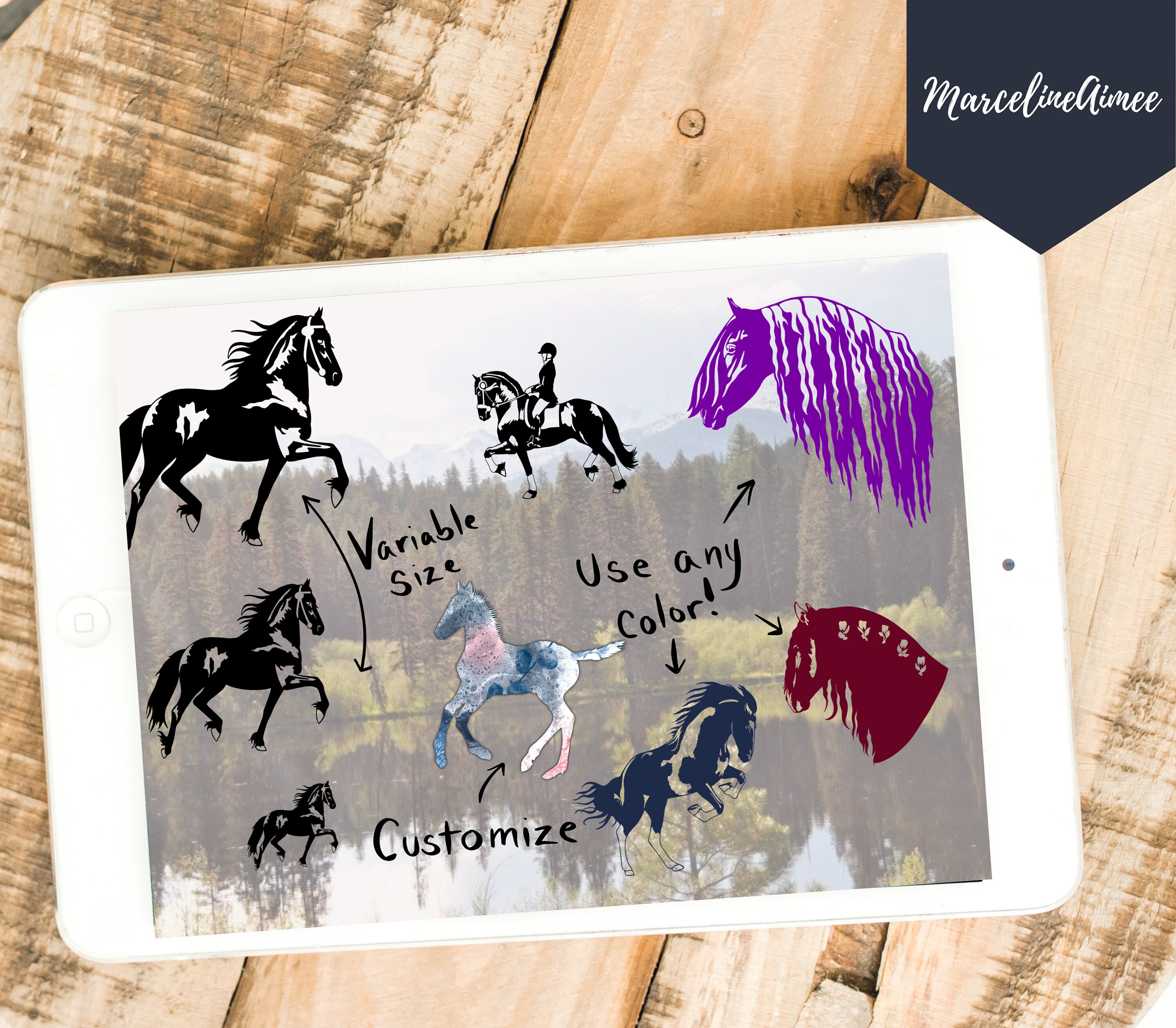 Procreate Stamp Brush Horses One Etsy