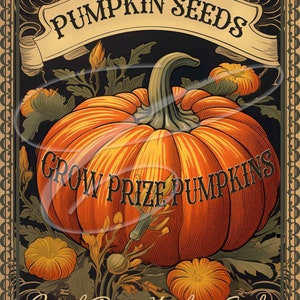 May include: Vintage style seed packet illustration featuring a large orange pumpkin with the text "Pumpkin Seeds Grow Prize Pumpkins With Our Heirloom Seeds".