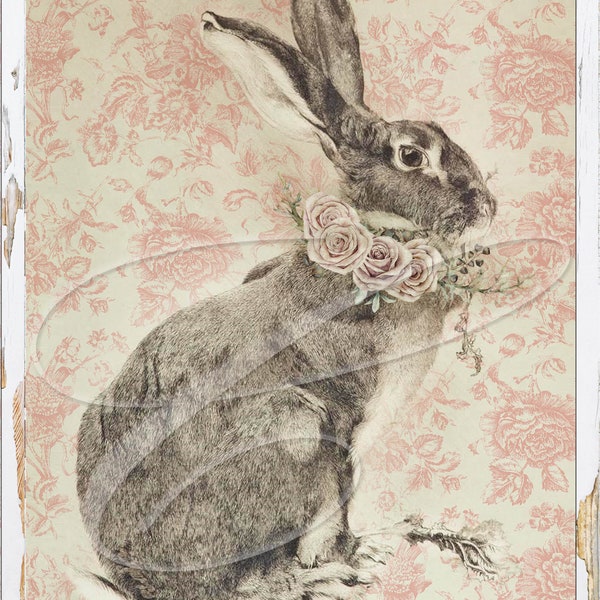 French Rabbit Image - Etsy