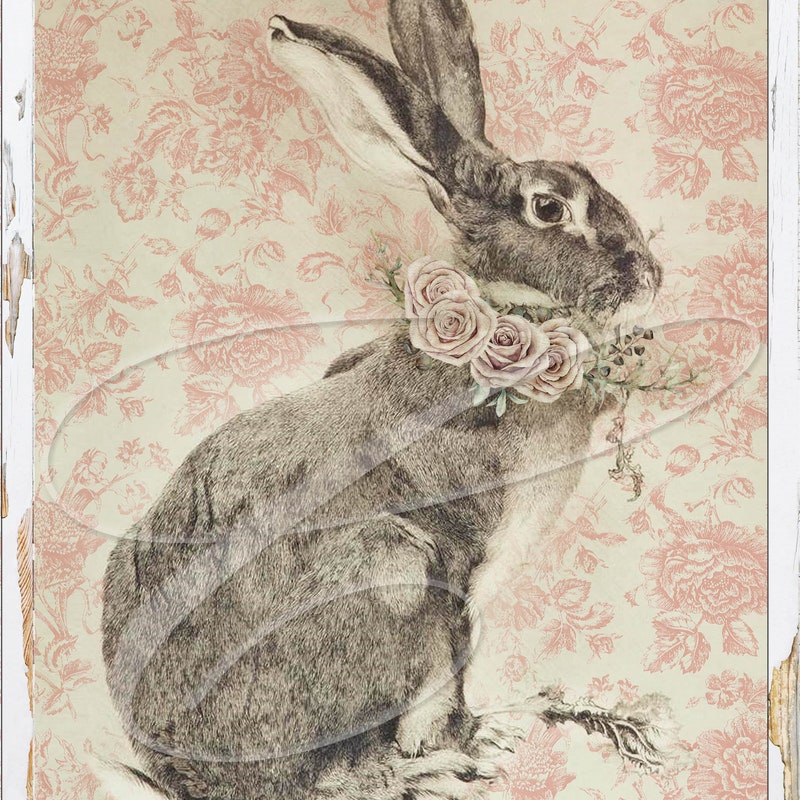 French Rabbit - Etsy