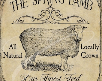 Primitive Vintage farm Country Label Digital jpeg Jars, Tiered trays, signs, prints, Pillows Spring Lamb General Store Feed Scroll Victorian