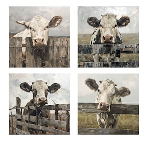 May include: Four black and white cows stand behind wooden fences. The cows are looking at the camera. The fences are made of rough-hewn wood.