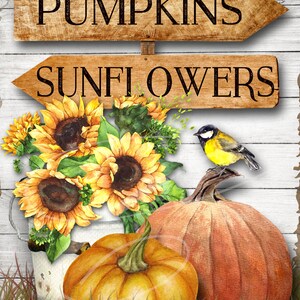 May include: A wooden sign with two arrows pointing in opposite directions. The top arrow says "PUMPKINS" and the bottom arrow says "SUNFLOWERS". A bouquet of sunflowers in a white bucket, a small orange pumpkin, and a large orange pumpkin are in the foreground. A small yellow bird is perched on the large pumpkin.