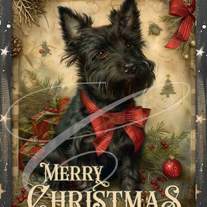 May include: A black Scottish Terrier dog wearing a red plaid bow tie sits in front of a red and green Christmas scene with the text "Merry Christmas".