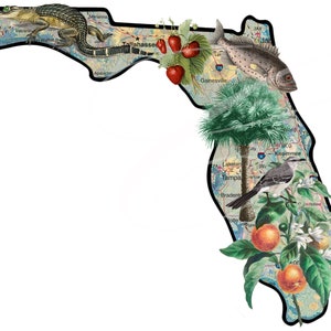 Primitieve vintage boerderij label digitale png potten, kussens, borden, prenten, sublimatie kaart oude Florida sinaasappels alligator aardbei