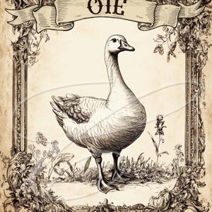 May include: A vintage-style print featuring a detailed illustration of a goose. The artwork is framed with ornate floral and scrollwork, and the word "OIE" is displayed on a banner above the goose. The color palette is primarily sepia tones.