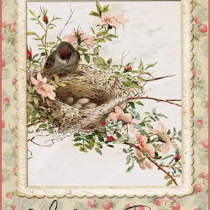 Rótulo de fazenda vintage primitiva jpg potes digitais, bandejas em camadas, placas, impressões, cartão postal de pássaro vitoriano, ninho de pássaro, ovos de primavera Bem-vindo